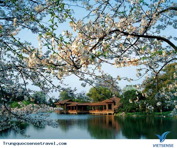 Trung Quốc Đẹp Nhất Vào Thời Gian Nào Trong Năm? - Ảnh 1