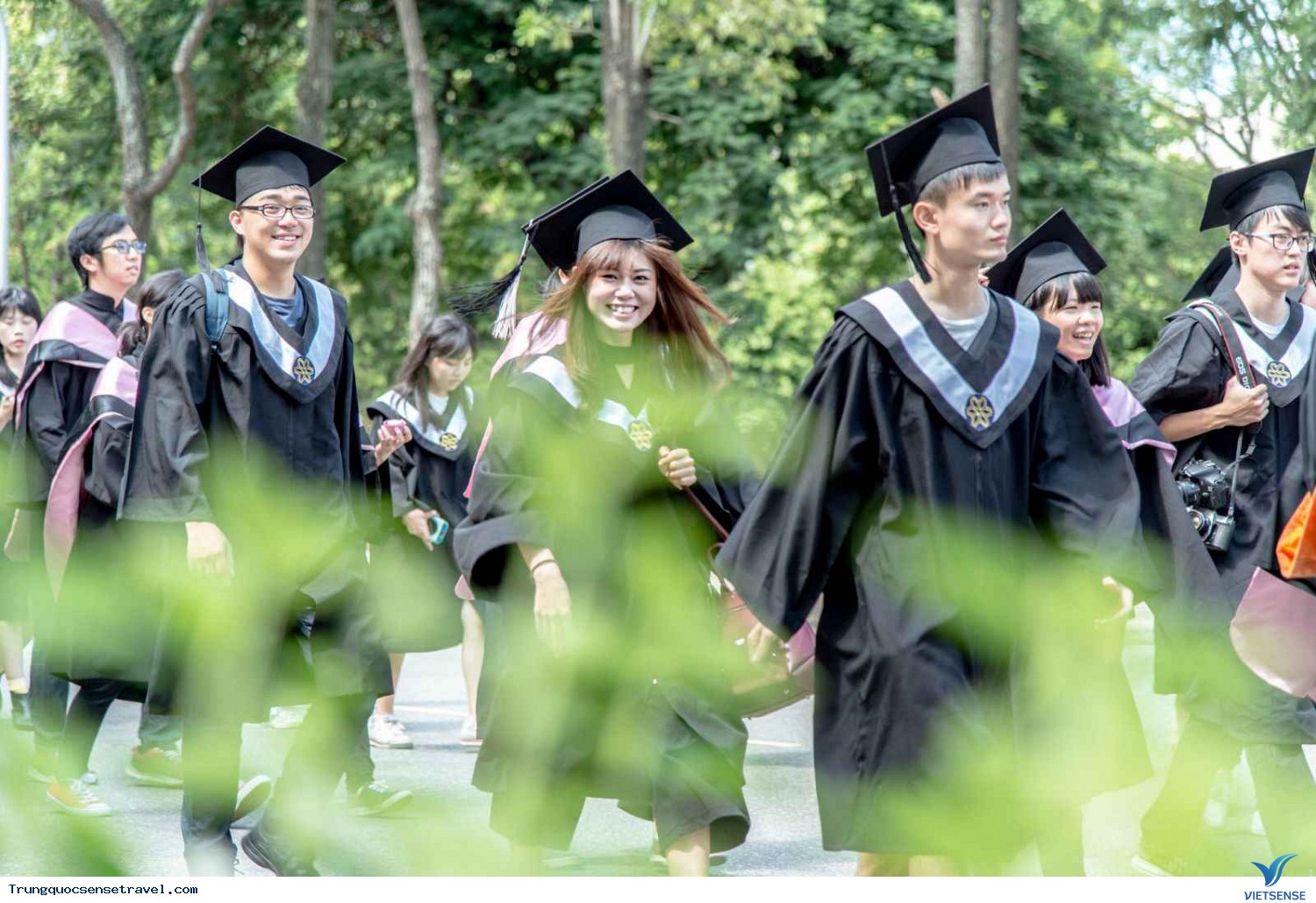 Nền giáo dục đặc biệt Nền giáo dục đặc biệt