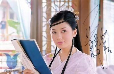 Giả Tịnh Văn Giả Tịnh Văn