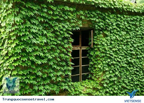 Ngôi làng “ma” ở Trung Quốc Ngôi làng “ma” ở Trung Quốc