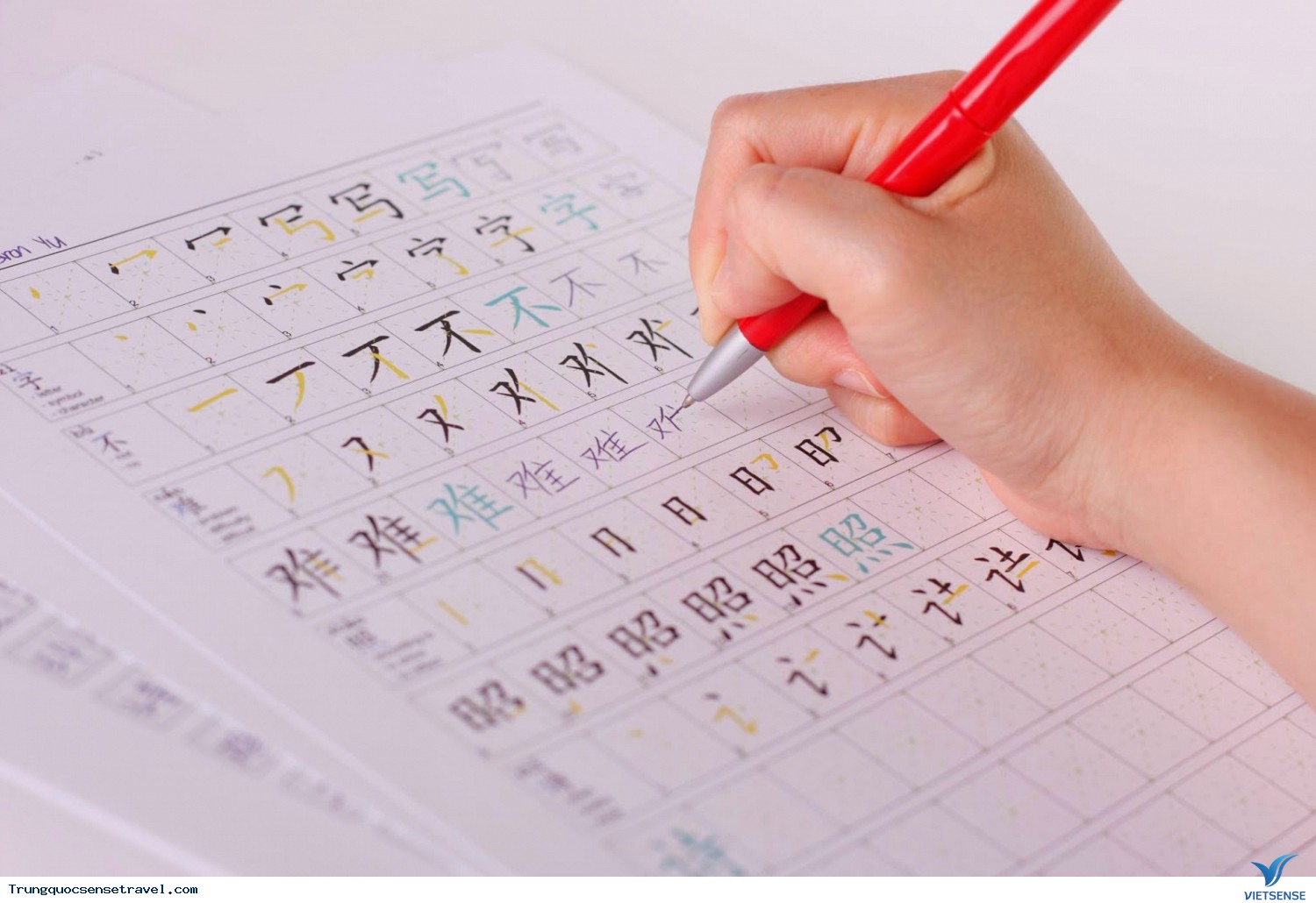 Ngôn ngữ Ngôn ngữ