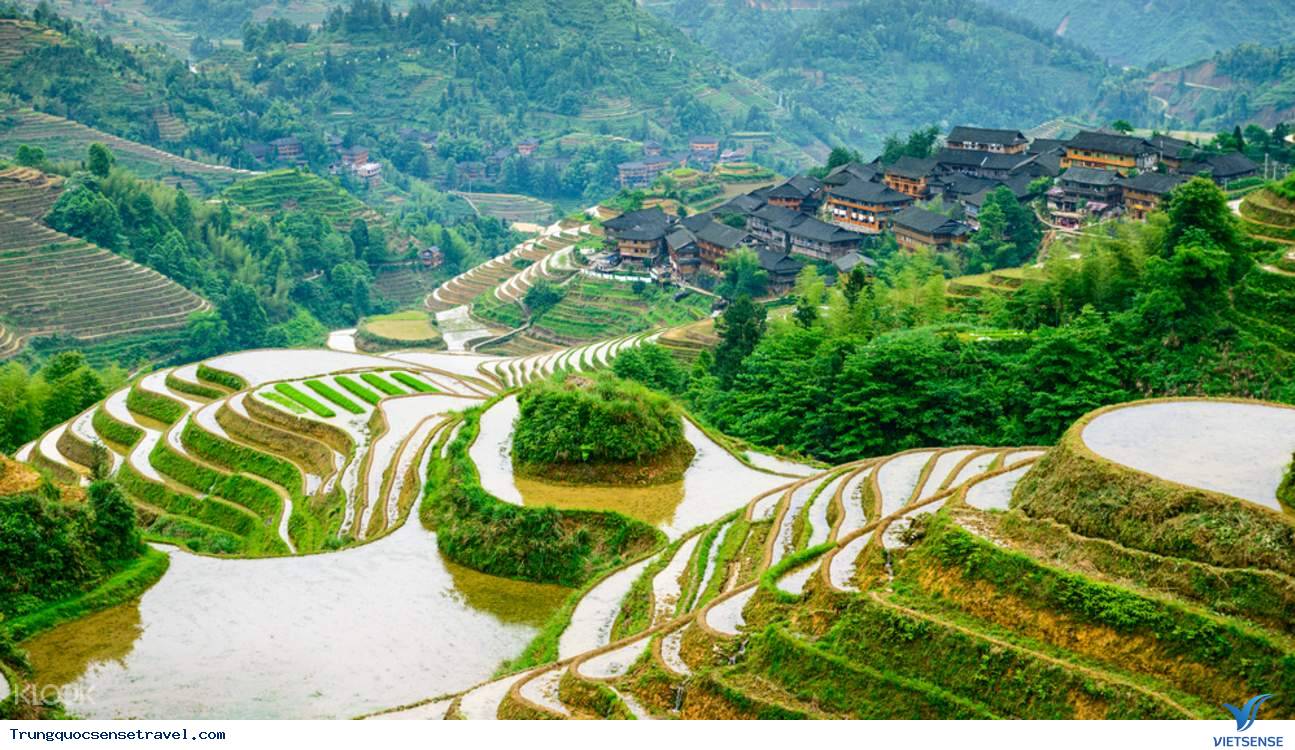 Ruộng bậc thang Longji