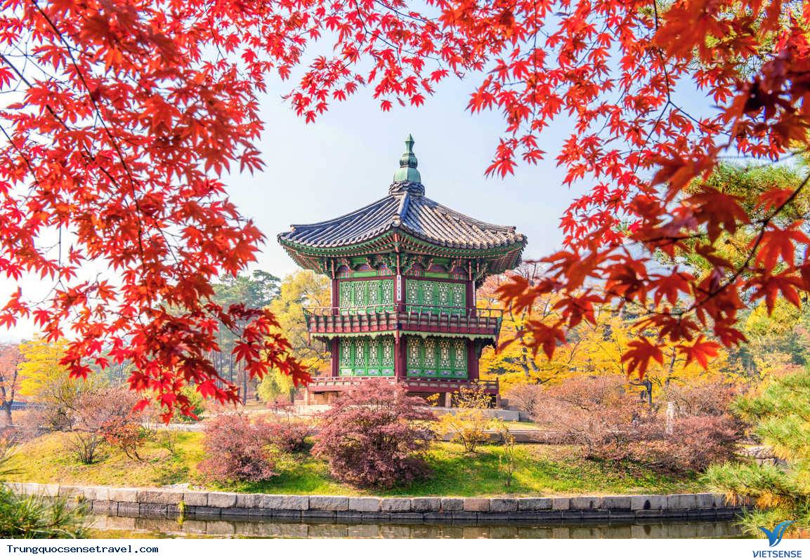 Nên đi vào thời điểm nào?