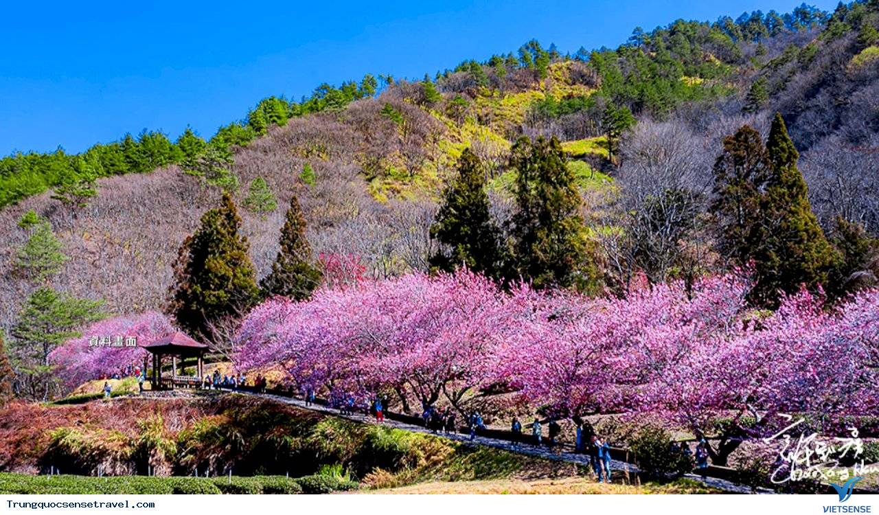 Nông trường Wuling - Ảnh 1 Nông trường Wuling - Ảnh 1