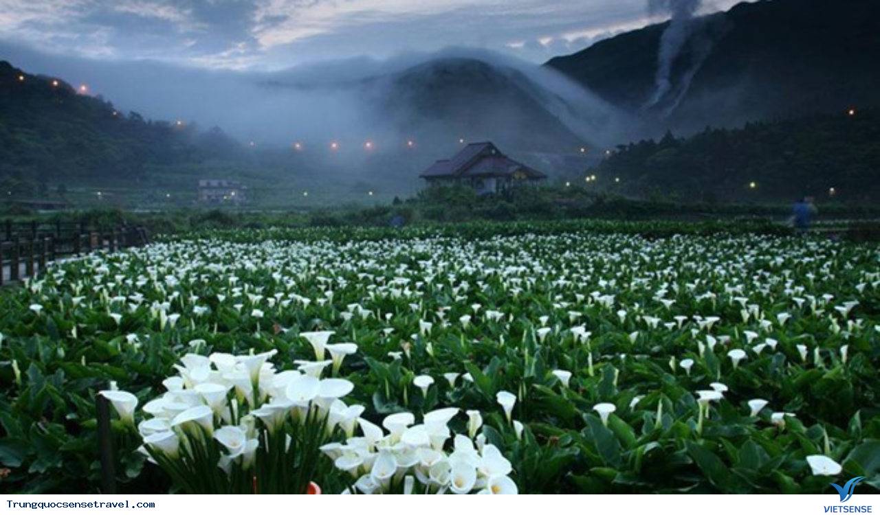 Núi Dương Minh Núi Dương Minh