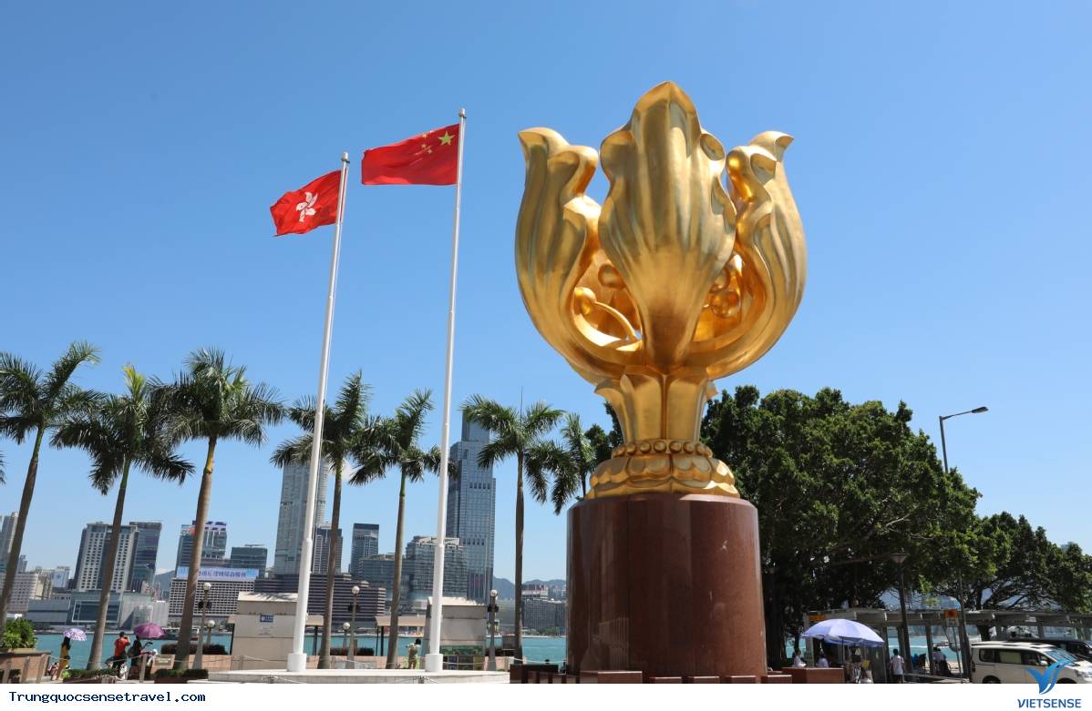 Quảng trường Dương Tử Kinh Vàng (Golden Bauhinia Square) Quảng trường Dương Tử Kinh Vàng (Golden Bauhinia Square)