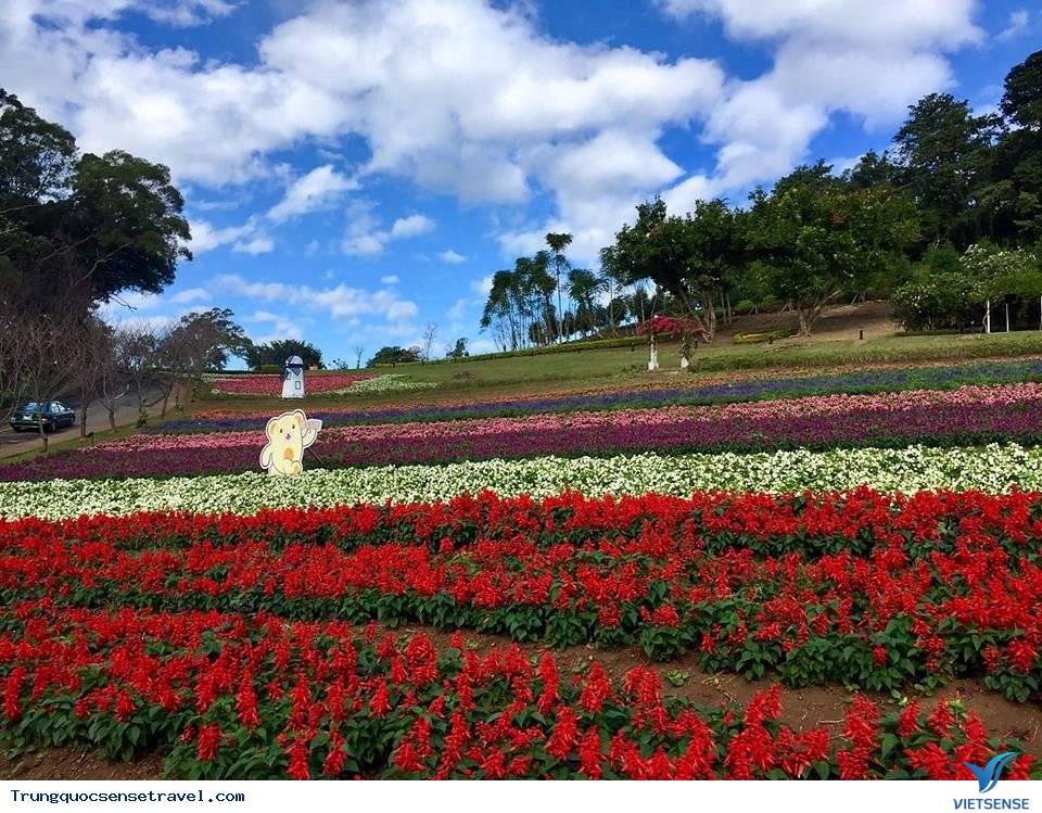 Tham Gia Lễ Hội Hoa Ta Shee Blooming Oasis Tham Gia Lễ Hội Hoa Ta Shee Blooming Oasis