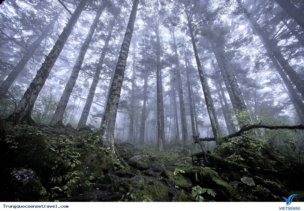 Tới Hồ Bắc đừng quên Thần Nông Giá - Ảnh 1 Tới Hồ Bắc đừng quên Thần Nông Giá - Ảnh 1