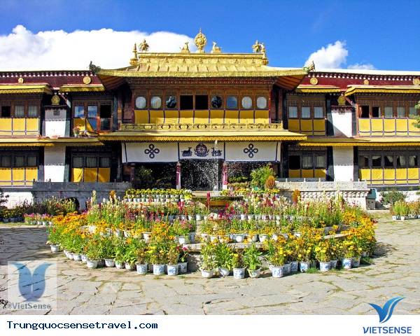 chương trình
trung quoc chương trình
trung quoc