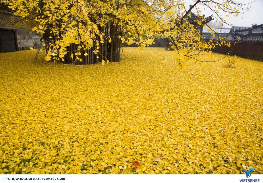 Tìm hiểu về quan niệm màu sắc ở đất nước Trung Hoa - Ảnh 4 Tìm hiểu về quan niệm màu sắc ở đất nước Trung Hoa - Ảnh 4