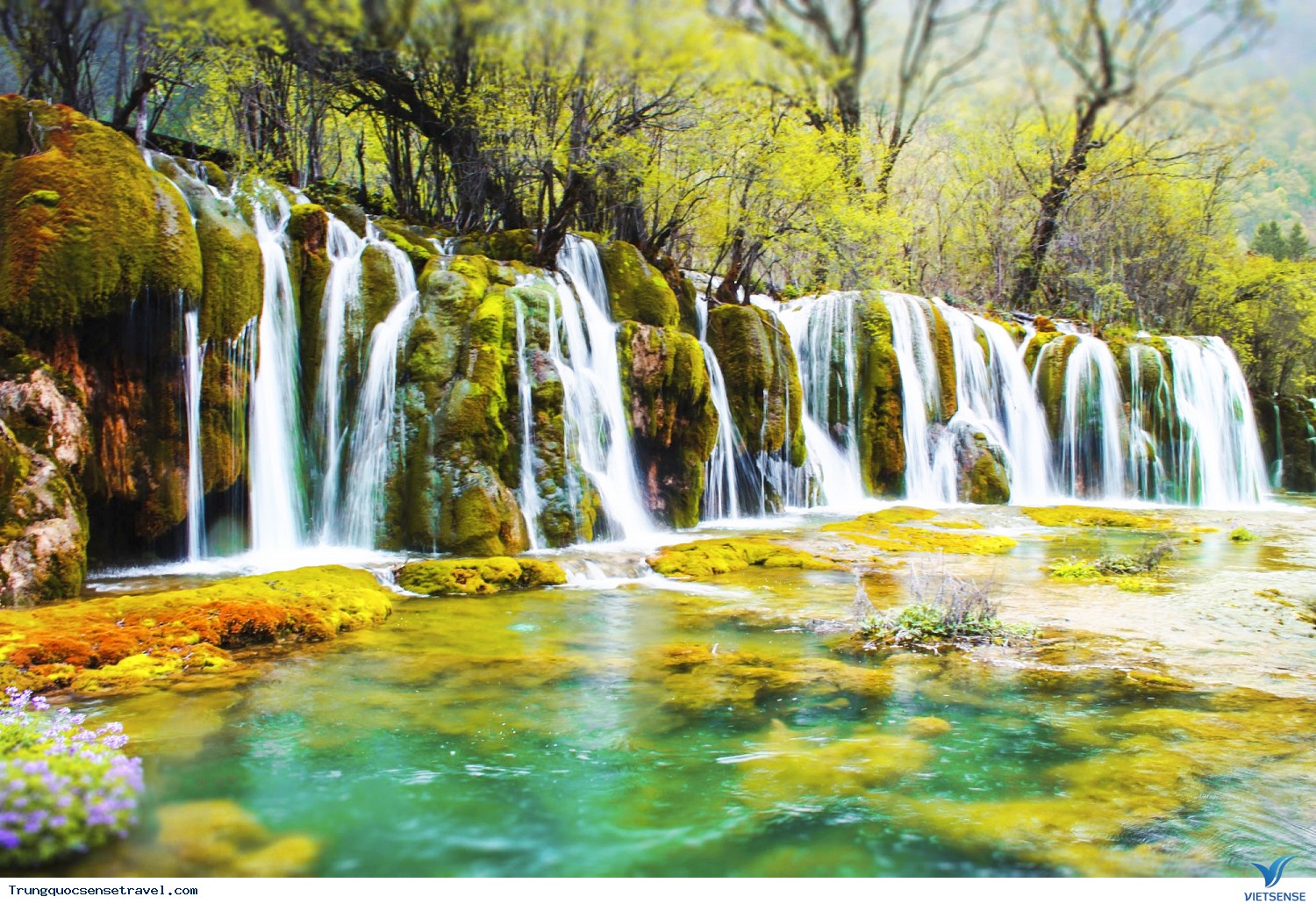 Tour du lịch Cửu Trại Câu - Ảnh 4 Tour du lịch Cửu Trại Câu - Ảnh 4