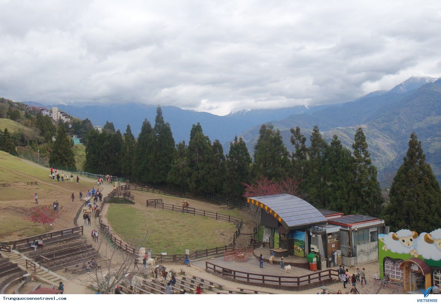 Trang trại cừu Cingjing