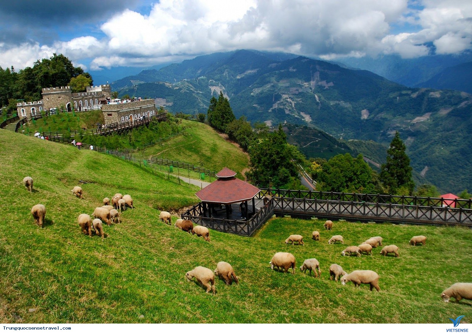 Trang trại cừu Qingjing