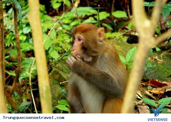 Địa Lý, Khí Hậu - Ảnh 26 Địa Lý, Khí Hậu - Ảnh 26