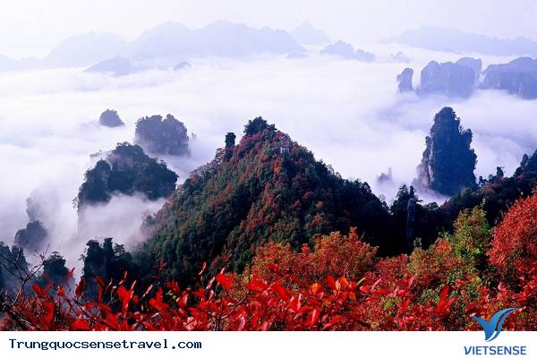 Địa Lý, Khí Hậu - Ảnh 5 Địa Lý, Khí Hậu - Ảnh 5