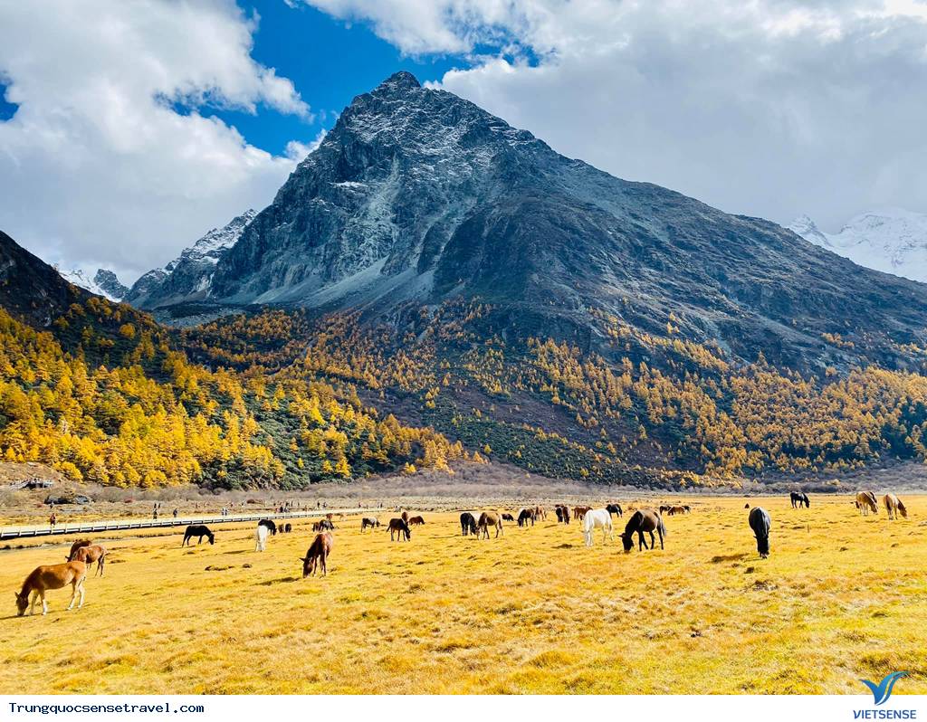 Tuyệt đẹp với cung đường mùa thu nổi tiếng Trung Quốc - Ảnh 2