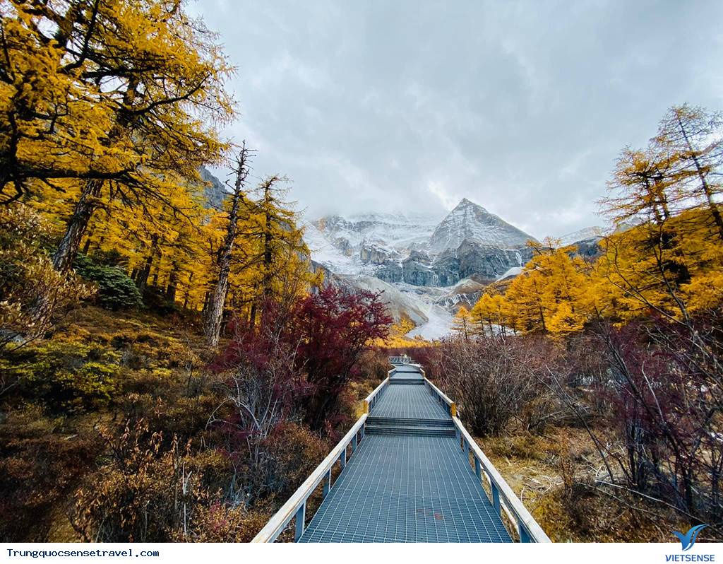 Tuyệt đẹp với cung đường mùa thu nổi tiếng Trung Quốc - Ảnh 3