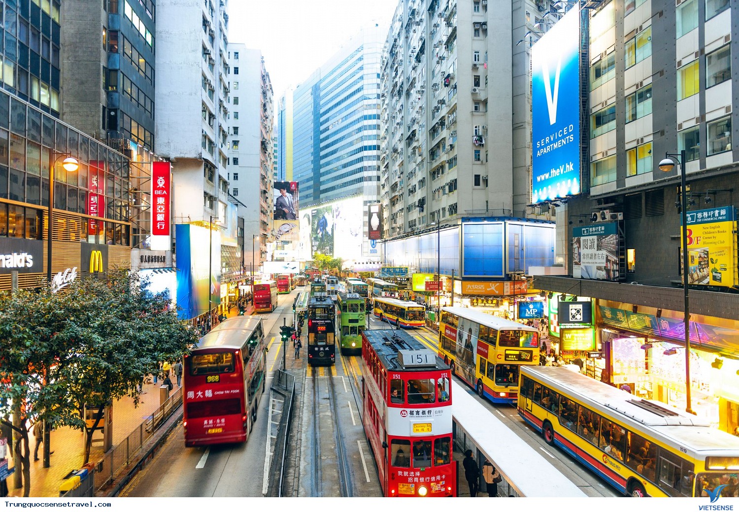 Xe buýt và xe buýt mini - Ảnh 1